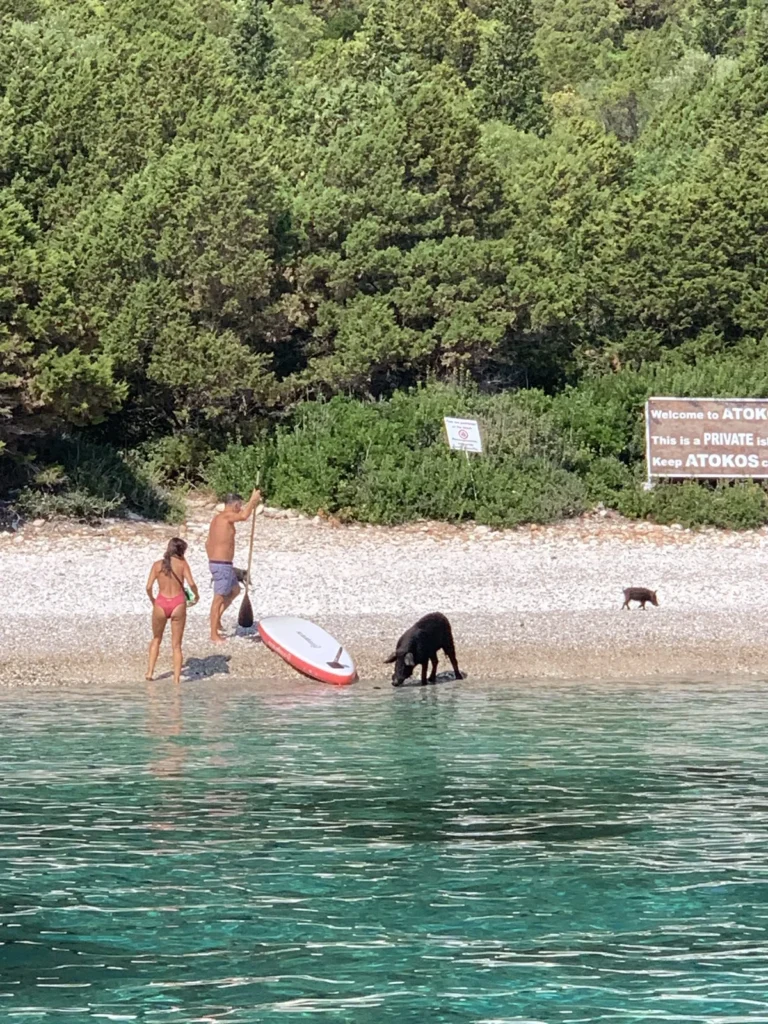poloponneso A GONFIE VELE Vacanze in barca a vela4 - A GONFIE VELE - Vacanze in barca a vela