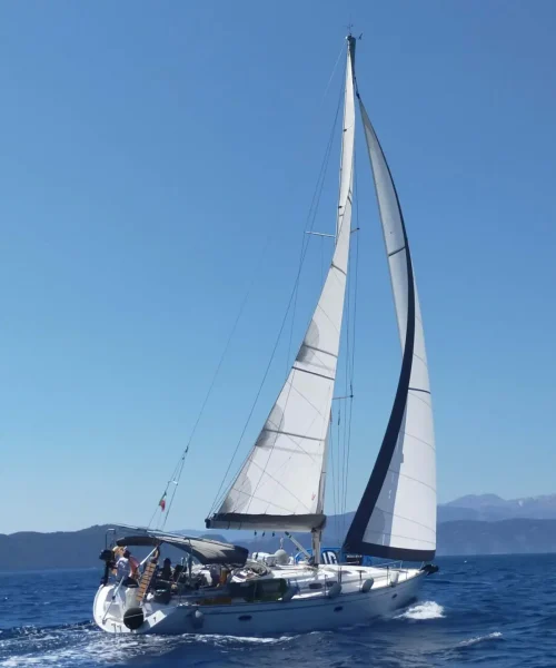 NZLI2960